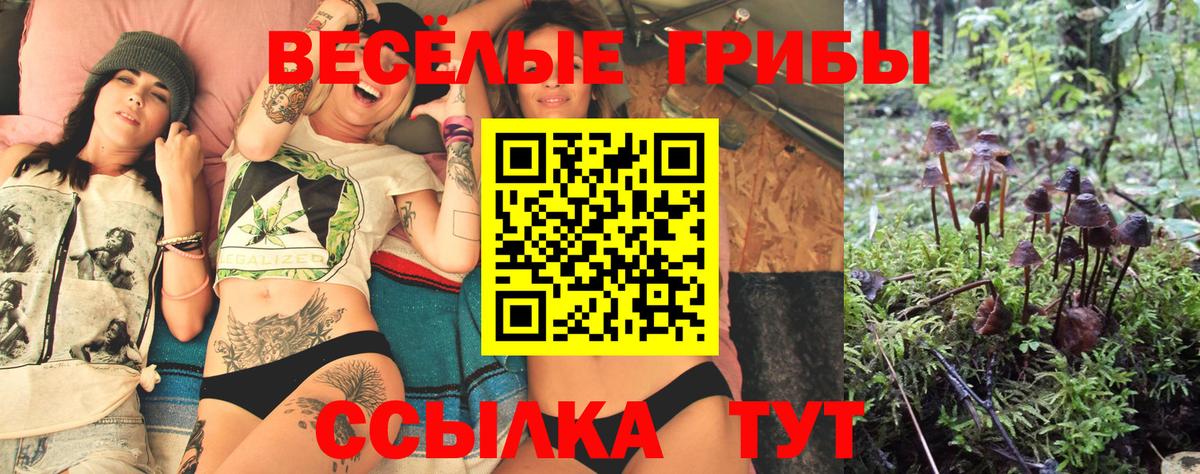 Галлюциногенные грибы Psilocybine cubensis  Псилоцибиновые грибы прущие грибы  Вход с VPN  Надым 